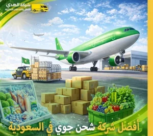 أرخص شركات النقل الجوي في السعودية