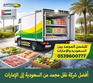 شاحنة مبردة لنقل المجمدات في السعودية جاهزة للشحن إلى الإمارات مع صناديق دواجن ولحوم وخضروات مجمدة