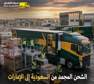 شحن مجمد ونقل مجمد بالكرتون من السعودية للإمارات شركة شحن مجمد بري من السعودية إلى الإمارات 0539600777 رخيص